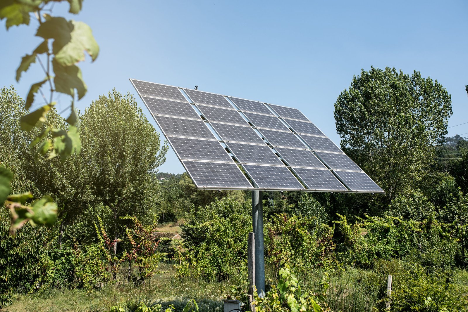 Environment Protection
